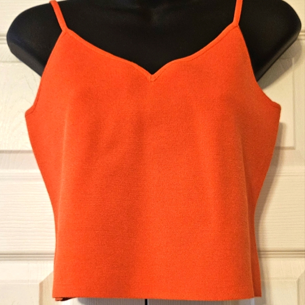 NWT Express Crop Top